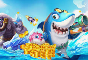 壹号平台app2024最新版